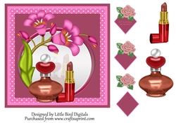 The Makeup Mirror 7x7 Quick Card