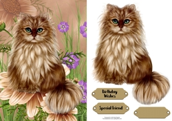 Purrfect quick card