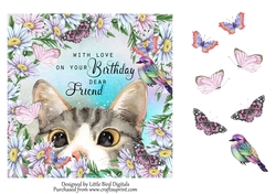 Friend Birthday 7x7 Quick card