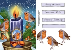 Christmas Robin Family Quick Card