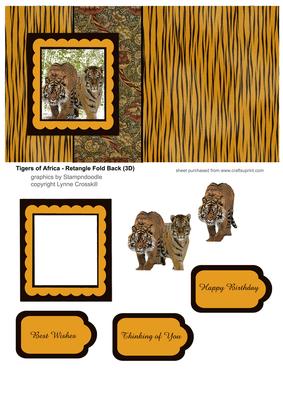 Tigers of Africa - Fold Back Card