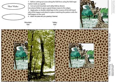 Little Darling Giraffe