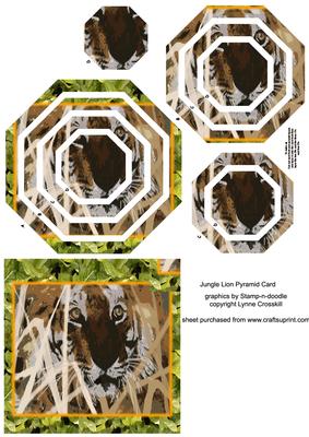 Jungle Lion Octagon Pyramid