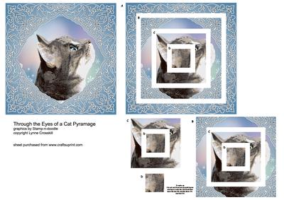 Through the Eyes of a Cat Pyramage