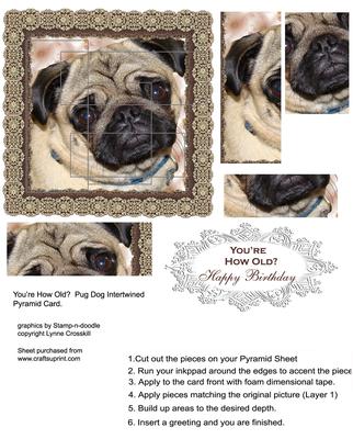 You're How Old - Pug Intertwined Pyramid Card