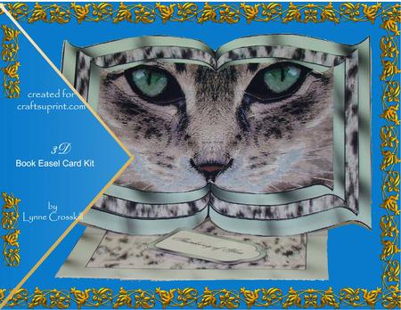Cats Eyes 3D Book Easel Card Kit