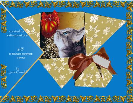 Christmas Wonder 'christmas Surprise' Card Kit