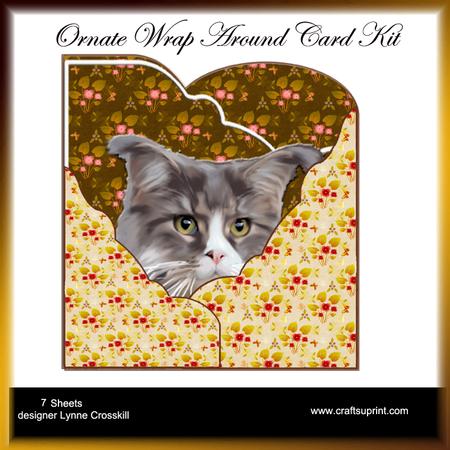 Where Did You Get Those Peepers Wrap Around Gate Fold Kit