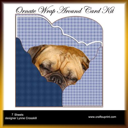 First Time Ever I Saw Your Face, Wrap Around Gate Fold Kit
