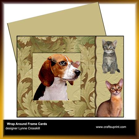 Everywhere I Look I See Cats Frame Card Kit