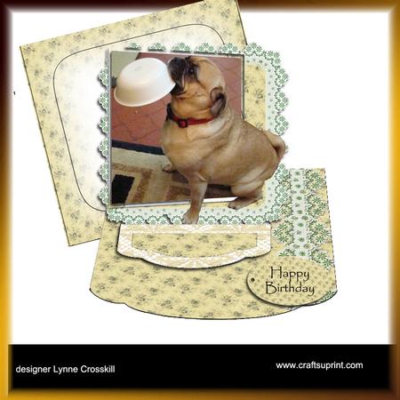 More Please! Out of Bounds Easel Card
