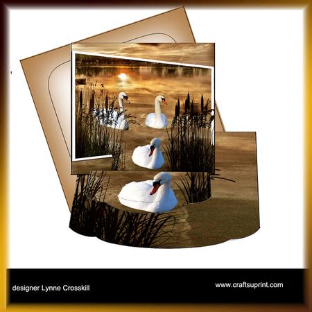 Swans, Out of Bounds Easel Topper
