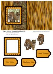Tigers of Africa - Fold Back Card