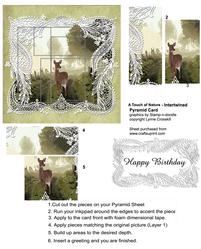 A Touch of Nature - Intertwined Pyramid Card
