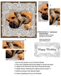 Let Sleeping Dogs Lie Intertwined Pyramid Card