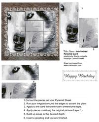 The Stare - Wolf Intertwined Pyramid Card