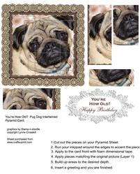 You're How Old - Pug Intertwined Pyramid Card