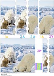Oh Boy Another Day in the Artic - Scalloped Edged Stacker