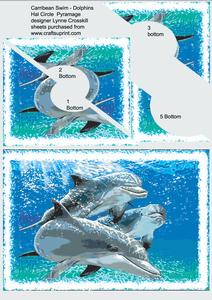 Dolphin Swim Half Circle Pryamage