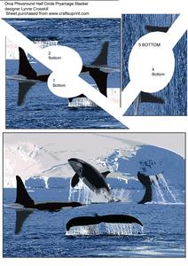 Orca Playground Half Circle Pyramage
