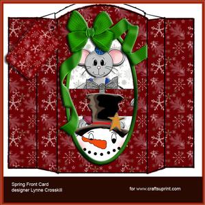 Snowman's Present Spring Front Card