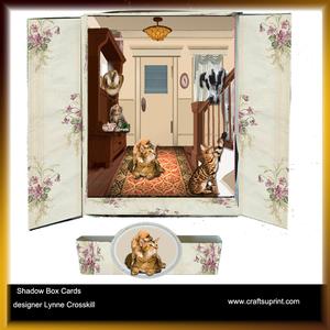 Home Alone Box Card with Matching Band