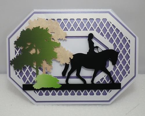 The horse rider
