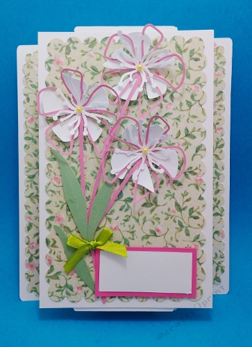 Backfold card with rectangle and flowers