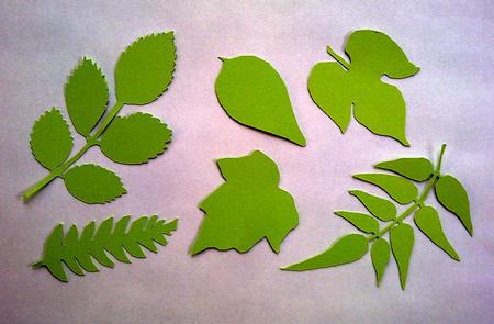 Leaves Set 2