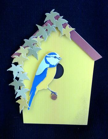 Birdhouse shaped card with Blue Tit