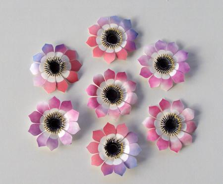 Anemone