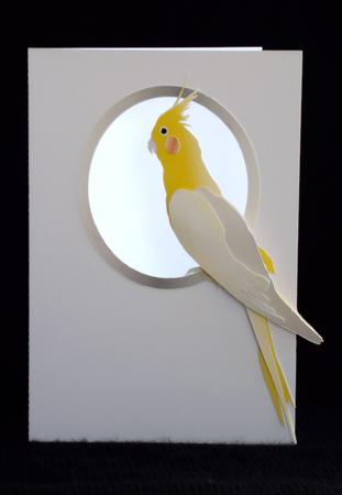 Cockatoo Aperture Card