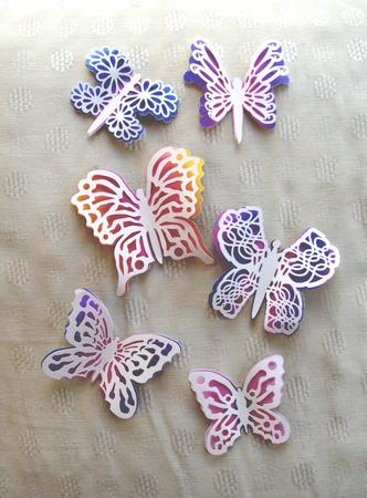 6 Butterflies