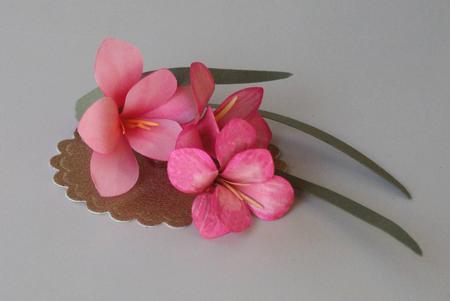 3D Freesias 