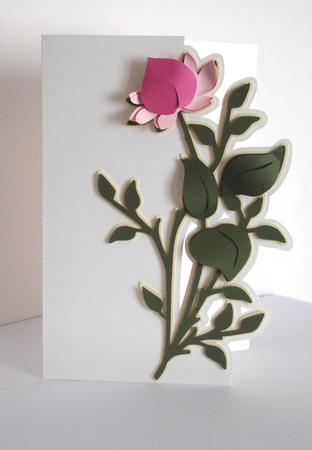 Fancy Floral Edge Card 2