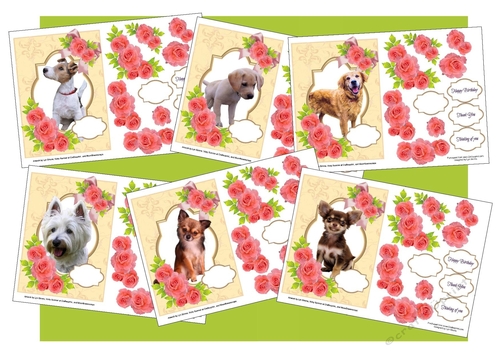 Mans best friend 1 - 6 mega bundle
