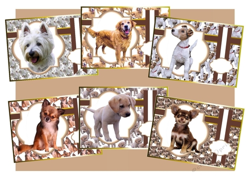 Mans best friend 7 - 12 mega bundle
