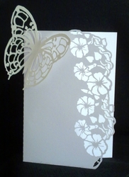 Morning glory over the edge card