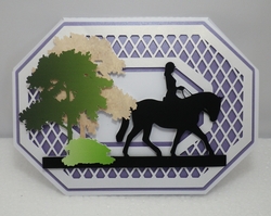 The horse rider