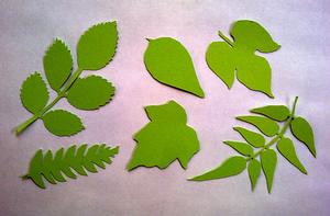Leaves Set 2