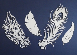 Feathers