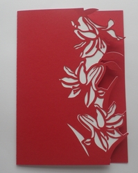 Lilly over the edge card