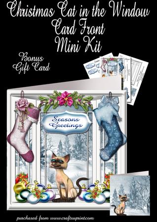 Christmas Cat in the Window Plus Bonus Gift Card