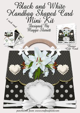 Black and White Handbag Plus Bonus Gift Card
