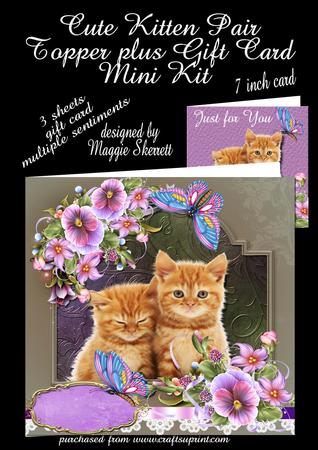 Pair of Cute Ginger Kittens Topper Plus Gift Card