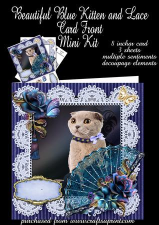 Beautiful Blue Kitten & Battenburg Lace Card Front