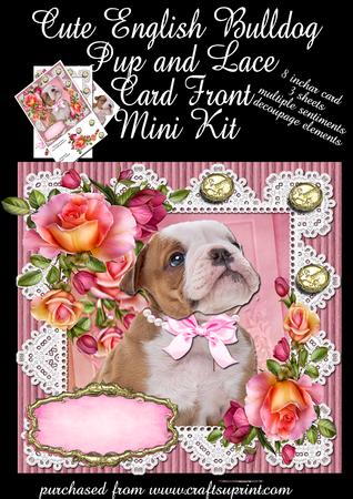 Cute English Bulldog Pup and Lace Card Front