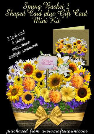 Spring Basket 2 Shaped Card Plus Gift Card