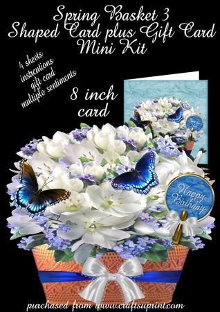 Spring Basket 3 Shaped Card Plus Gift Card