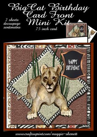 Big Cat Birthday Card Front Mini Kit